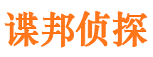 公安市调查公司